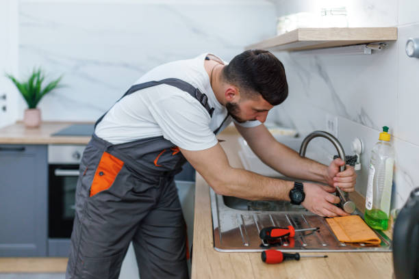 Best Commercial Plumbing Services  in Edwardsville, KS