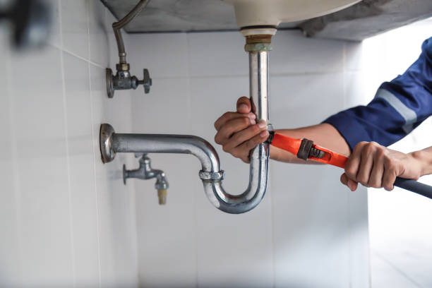Best Sewer Line Repair  in Edwardsville, KS